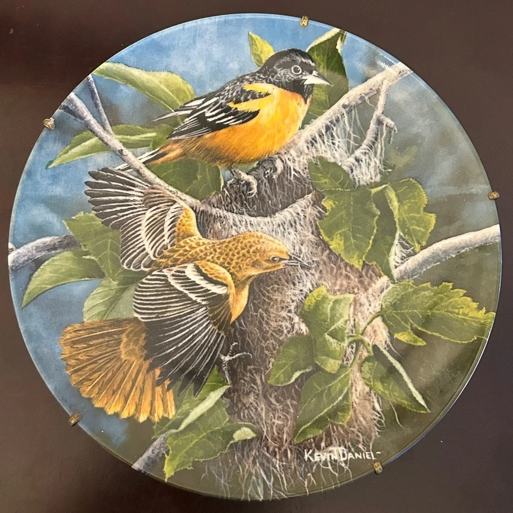 Vintage 1985 The Baltimore Oriole
